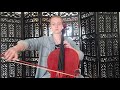 Leipzig cello  larsen aurora string set