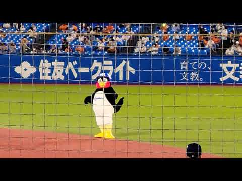 つば九郎、Get Wildでノリノリ🎵