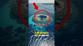 Questo buco nell’oceano sembra normale… finché non scopri cosa c’è dentro! 😱