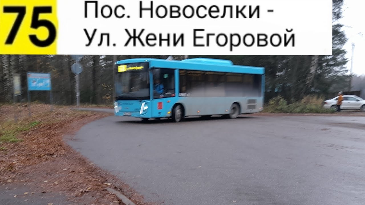Автобус 75. Пос. Новоселки, Карьер - Ул. Жени Егоровой