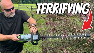 I'm scared of this tool! EGO 56V 26" Carbon Fiber Hedge Trimmer