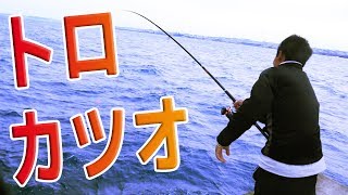 那覇一文字で前進トロのカツオが釣れた！