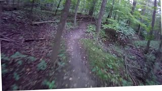 River Bends Park MTB Trails on 2011-Sep-13 (Stabilized)