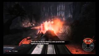 Evolve Trapper guide