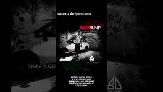 Not Your Mestres Capoeira Music, Just Heat From The South,