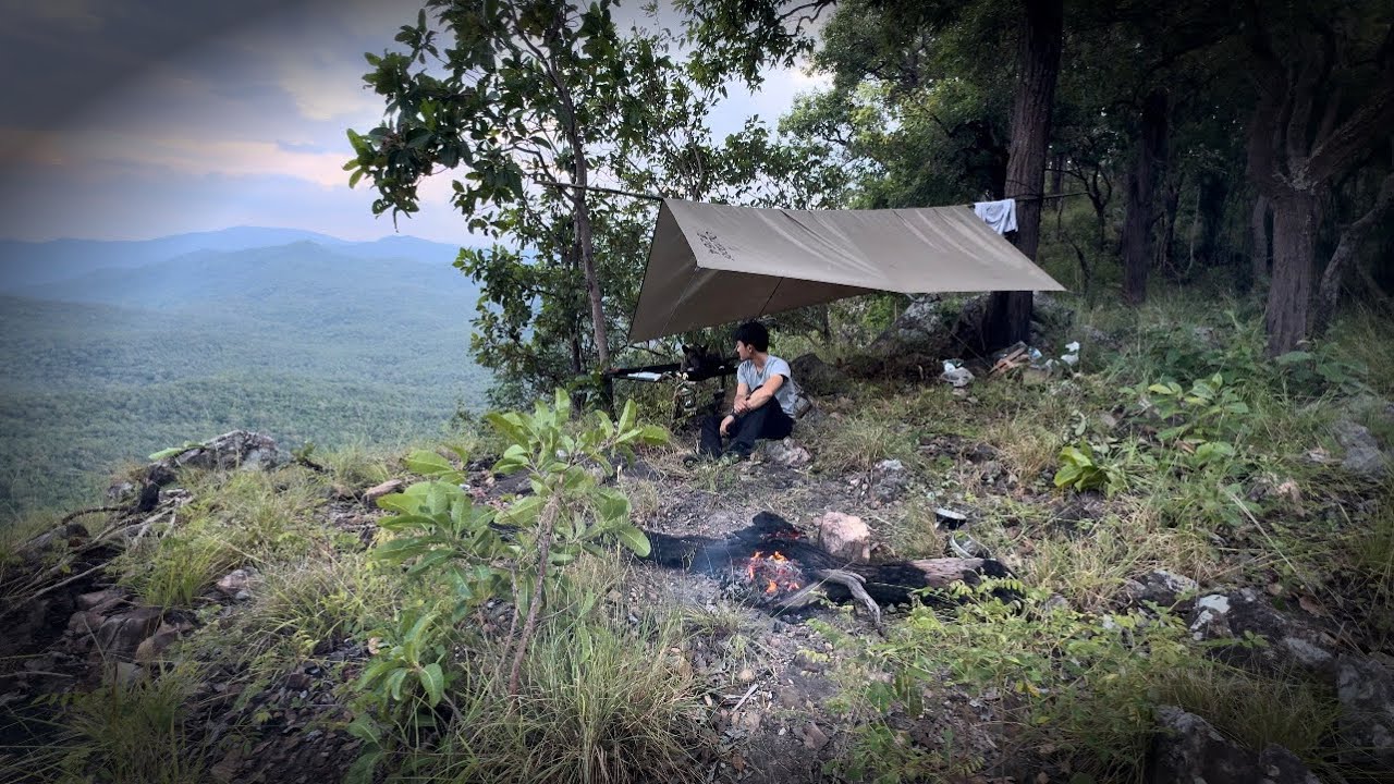 บุกป่าฝ่าดง!ขึ้นเขานอนบนสันป่าเต็งแสนกว้างใหญ่!กับเสือบรรยากาศวิวสวยสุดๆ