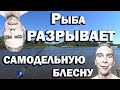 Рыбалка на самодельную блесну | Безосевая вертушка | Рыбалка | Fish on homemade flashes. Fishing