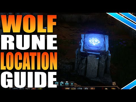 Where To Find The Wolf Rune For Enclave Library Puzzle In Baldur's Gate 3