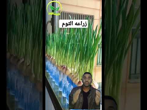 فيديو: ما هي المهنة الأكثر احتراما في روسيا الحديثة؟