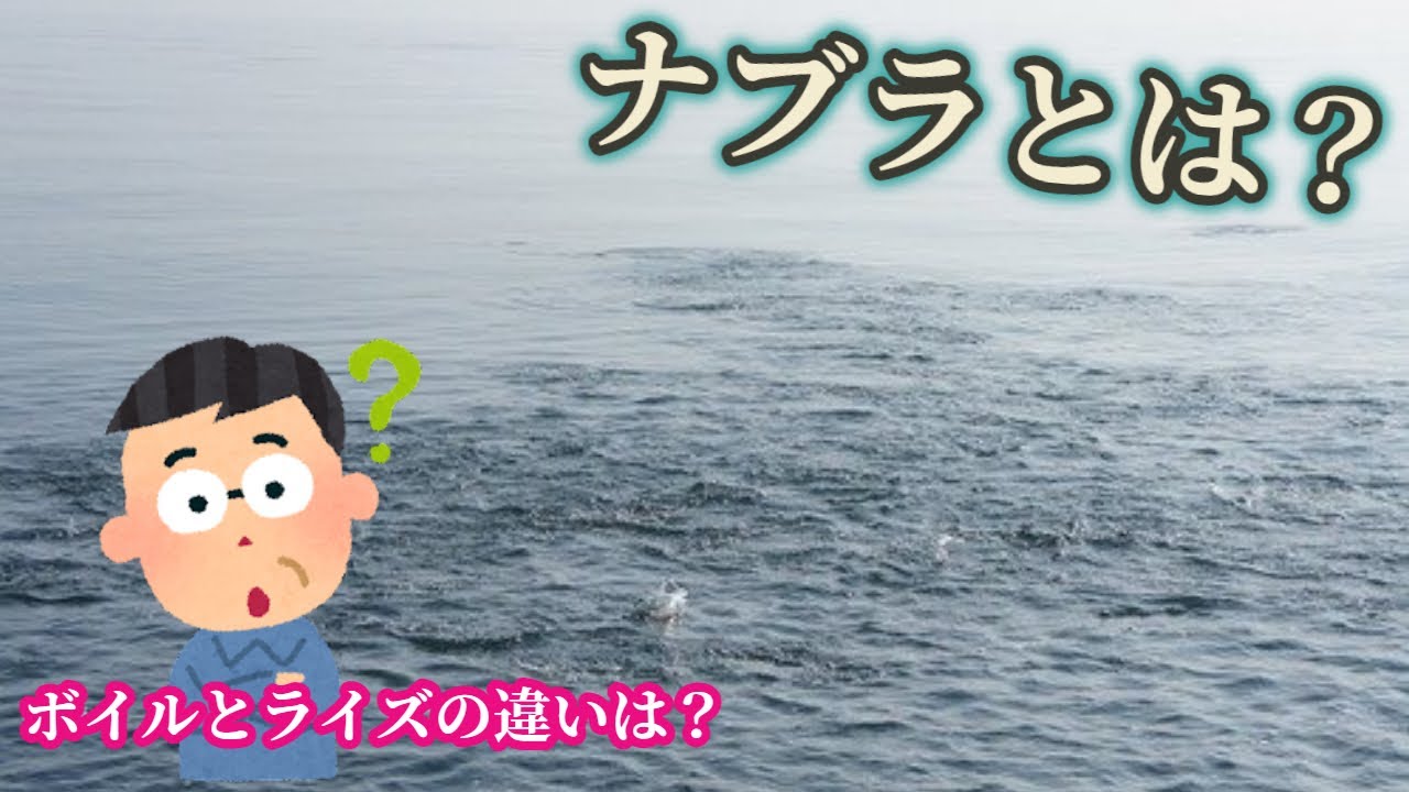 ナブラとは ５分で分かるナブラの意味と釣り方 海 魚用語 ３６６日釣りがし隊