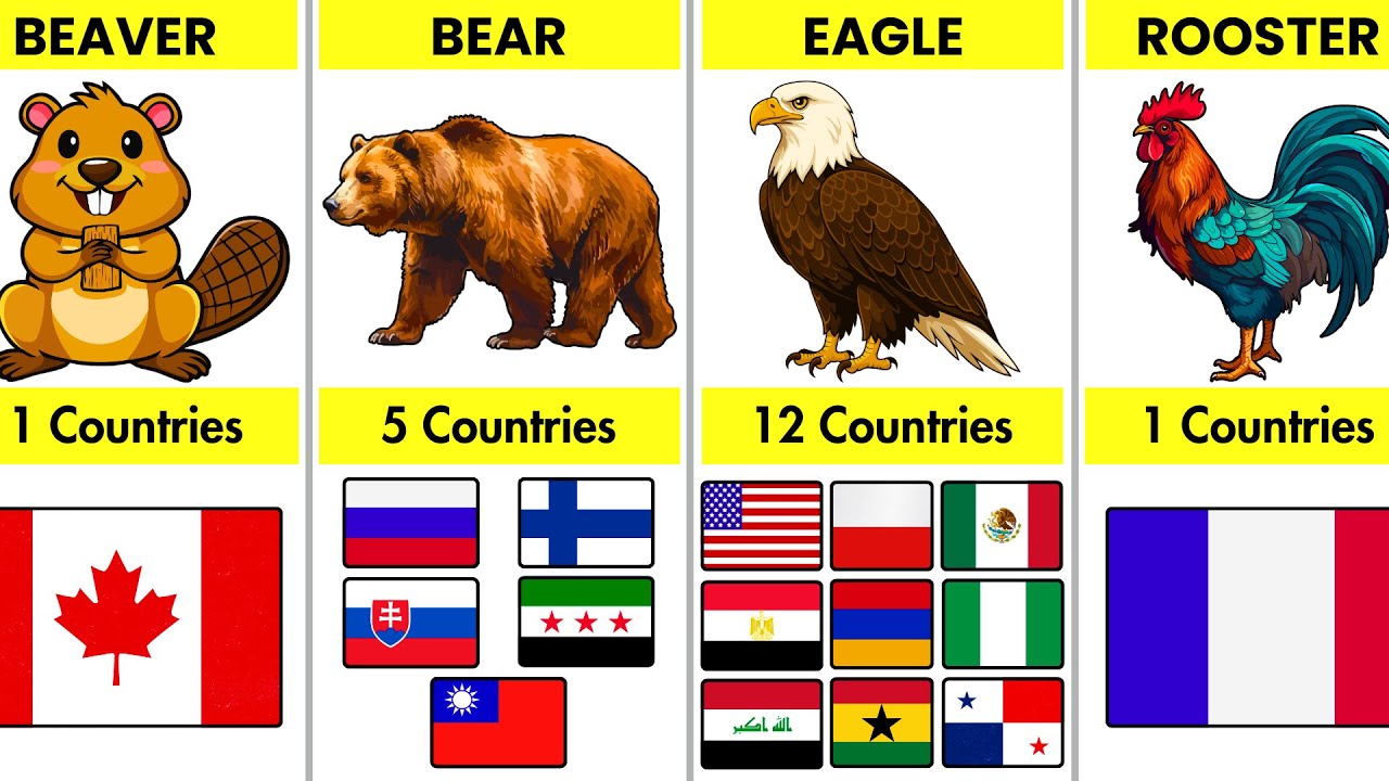 What Are the National Animals of Every Country? 🐯🌍 - YouTube