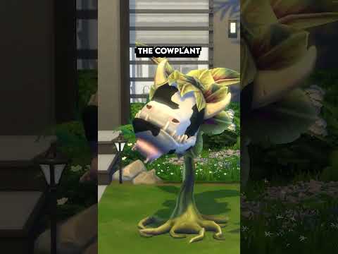 Things You Didn't Know About The Sims 4