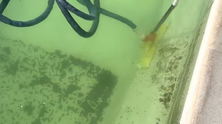 La méthode idéale pour nettoyer votre piscine au fond vert poussière