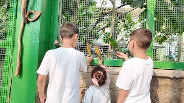 🦜 Ontdek Bird Kingdom | Een magische dag met kleurrijke vogels!