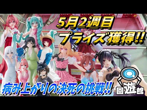 【クレーンゲーム】5月2週目登場のプライズフィギュア獲得‼病み上がりの中、決死の挑戦‼#ufoキャッチャー #クレーンゲーム #一番くじ #フィギュア #プライズ #回遊館#倉庫系