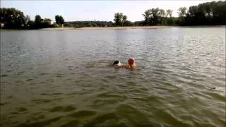 Meda Terijer Na Camcu German Hunting Terrier On A Boat