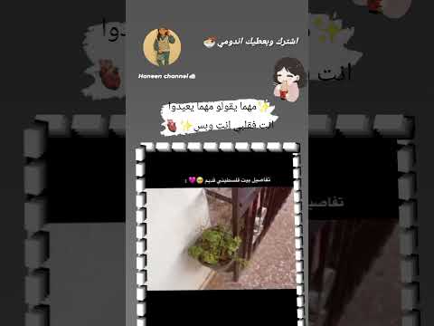 وما قيمة القصر أمام هكذا منزل