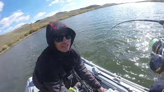 видео: Селета Монстр на крючке картинка: Селета Монстр на крючке