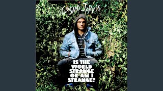 Video thumbnail of "Cosmo Jarvis - Girl In The French Film"