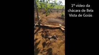 Formando um pomar - 1º vídeo da chácara de Bela Vista de Goiás