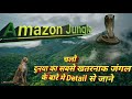 Amazing Facts About Amazon Jungle. || Amazon के बारे मे हेरान कर देने वाले Facts.|| EP_07.