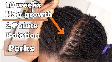 HOW TO: MICROLOCS SELF RETIE. 2point rotation | locs journey, Starterlocs maintenance