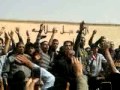 ثوره رجاله جلال فهمى ثوره رجاله جلال فهمى