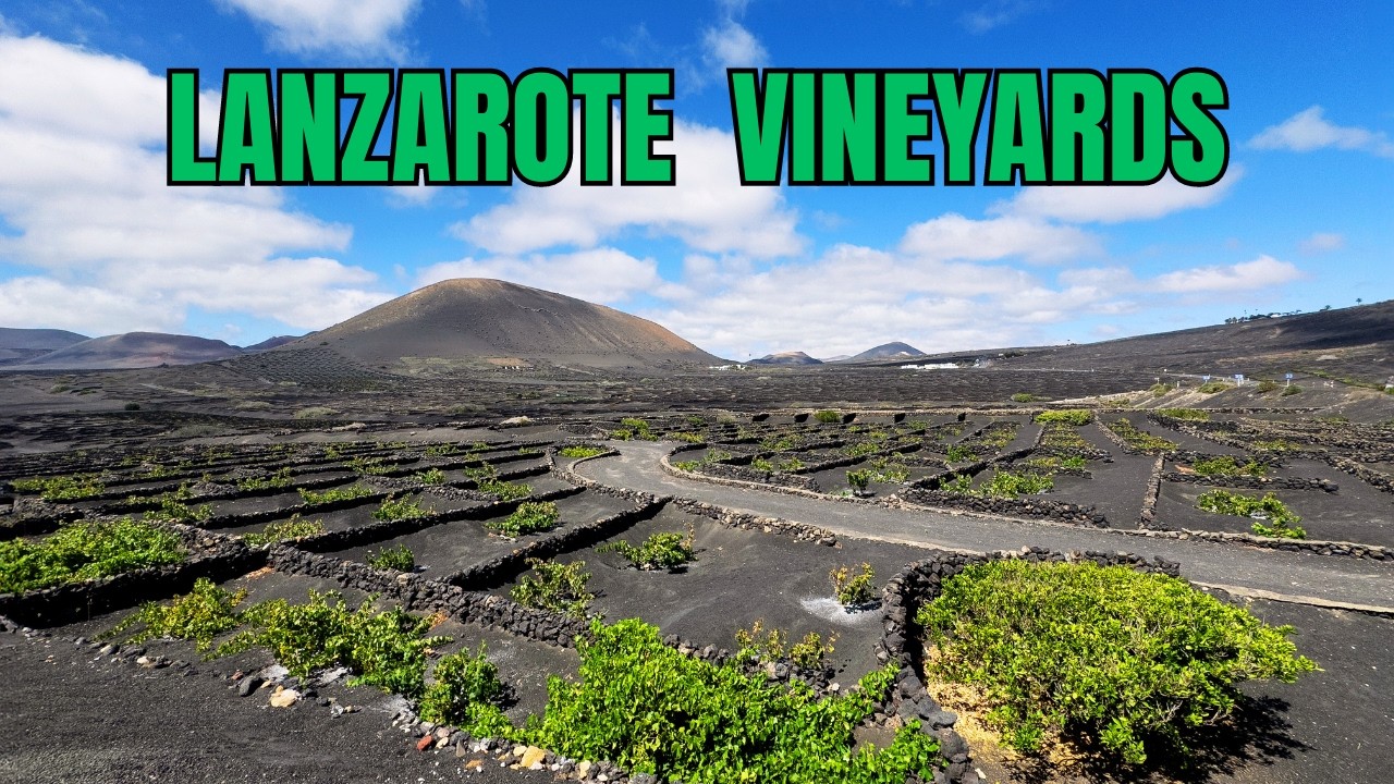 LA GERIA🍇  LANZAROTE ISLAND, SPAIN  | CANARY ISLAND [4K]