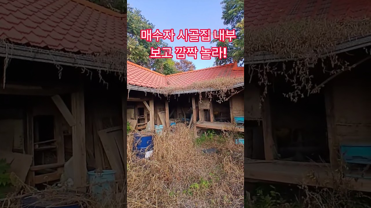 매수자 시골집 내부 보고 깜짝 놀라! 재미있는 shorts 옛날집 여행 부동산 부자집 빈집 멋진산 오지마을