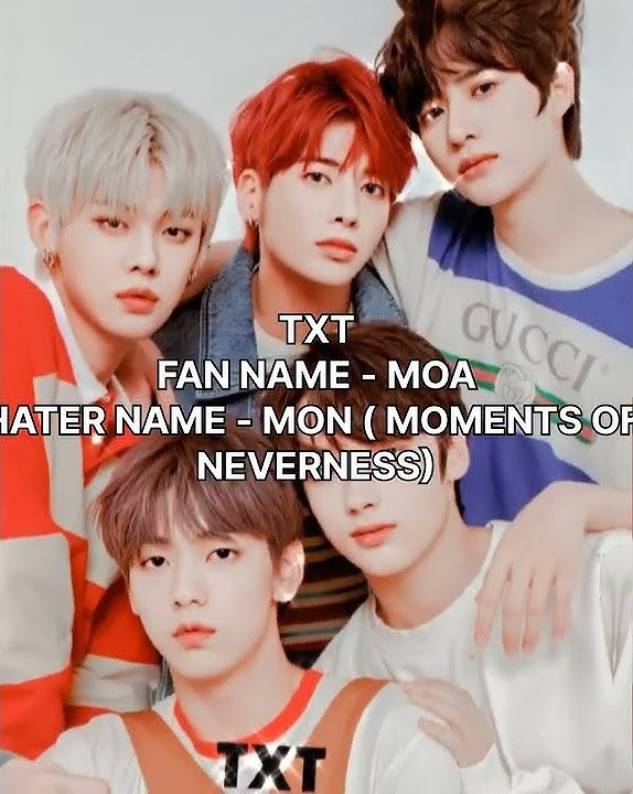 WHAT DO THE HATERS CALL K-POP IDOLS???#BTS#BLACKPINK#EXO#ITZY#TXT#TWICE#ATEEZ#STRAY KIDS