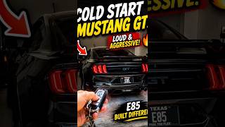 Mustang Insane Cold Start! #fordperformance #ford #mustang