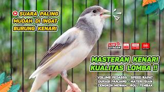 Kenari GACOR NGEREK‼️ Masteran Kenari PAUD dan Pancingan Kenari MACET BUNYI dan Betina NGIWIR - 221
