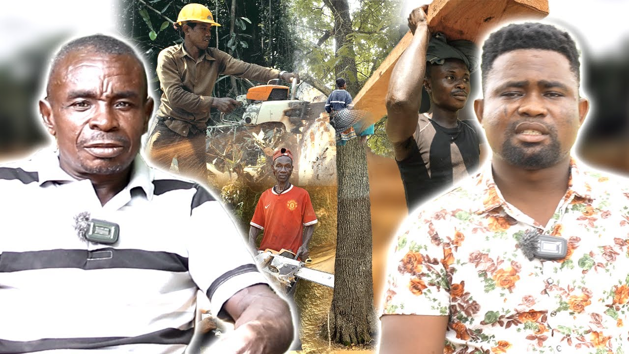 The ENTIRE Chainsaw Man Story Explained...Overpower Attack: Total Understanding Of Mysterious Event!