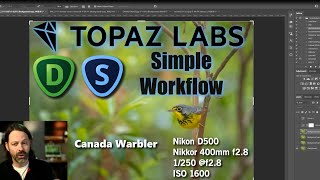 Topaz Labs Workflow in Photoshop for My Wildlife and Bird Photography