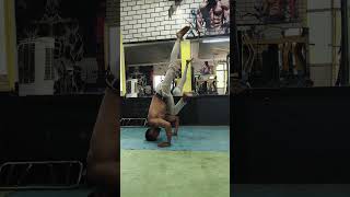 Ek Deewaanak Diwangi Song Fitness Workout Head And Stand Mobility Stretch Shorts Reels Motivation
