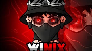 Winix gaming