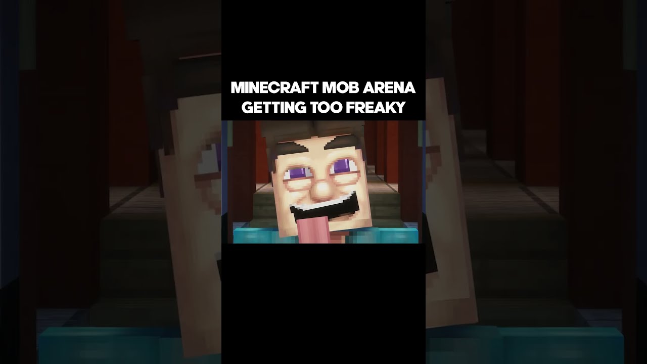 FREAKY AHH MINECRAFT MOB ARENA