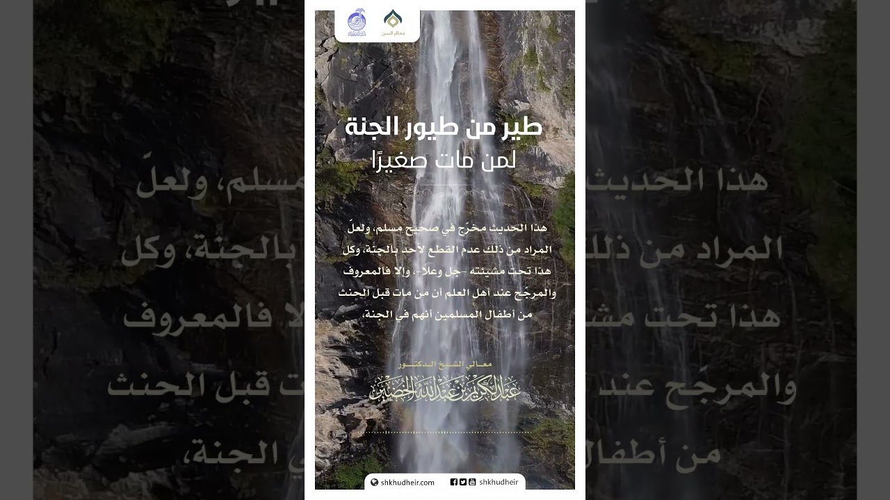 قول: طير من طيور الجنة لمن مات صغيرًا