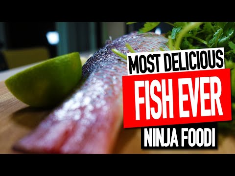 NINJA FOODI FISH RECIPE | SIMPLE BAKED FISH RECIPE | Salty Tales