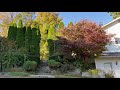 Time lapse of cleaning up a extremely overgrown garden