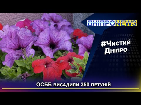 #Чистий_Дніпро: мешканці одного із ОСББ висадили 350 петуній