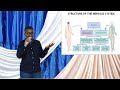 Mtoto Baraka Ausambaratisha Mfumo Wa Fahamu Awakuna Vichwa Madaktari 