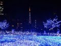 冬の東京 山崎ハコ cover