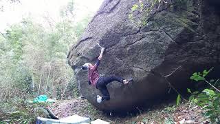 豊田  ウミネコ  e