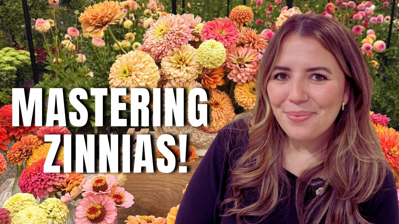 Mastering Zinnias! The Secrets To Growing Gorgeous Blooms ALL Summer 🌸🌿
