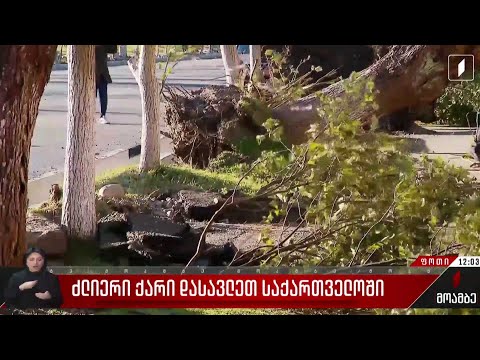 ძლიერი ქარი დასავლეთ საქართველოში