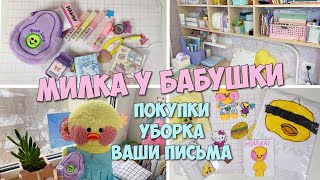 Милка едет к БАБУШКЕ! Покупки в школу, уборка и ваши письма!