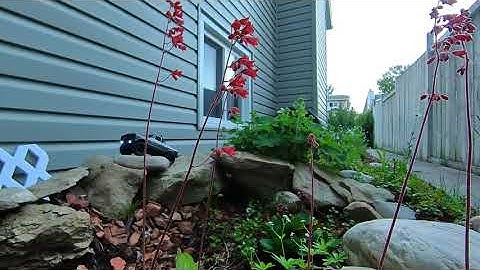 Axial scx24 stock c10 Furitek Tegu esc test crawl | shot with Insta360 One X2