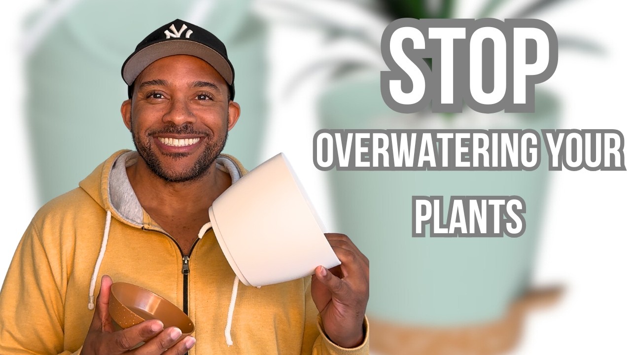 Вы губите растения без этого?