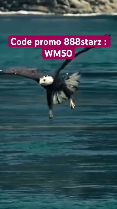 Code promo 888starz : WM50 - YouTube